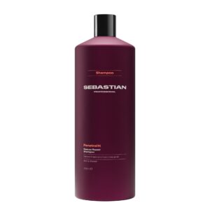 Sebastian Penetraitt Rescue Repair Conditioner 1000ml