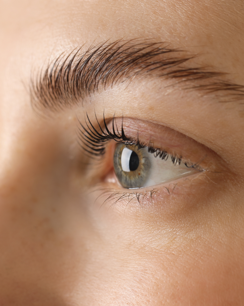 lashes & brows